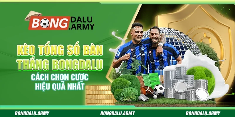 Kèo tổng số bàn thắng Bongdalu - Cách chọn cược hiệu quả nhất